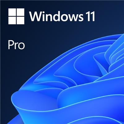 Windows 11 Professional image 1