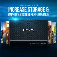 PNY 250GB 2.5